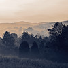 gefillmore > split  tone frog-