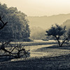 panther creek park-