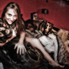 gefillmore > three dog night-