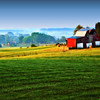barn- summer morning in east tennessee