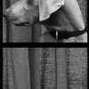 gefillmore > bubby at the photo booth-
09/03-